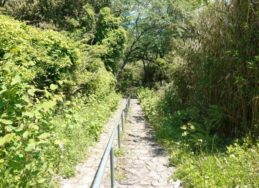 生駒山上～霞ヶ丘駅の道