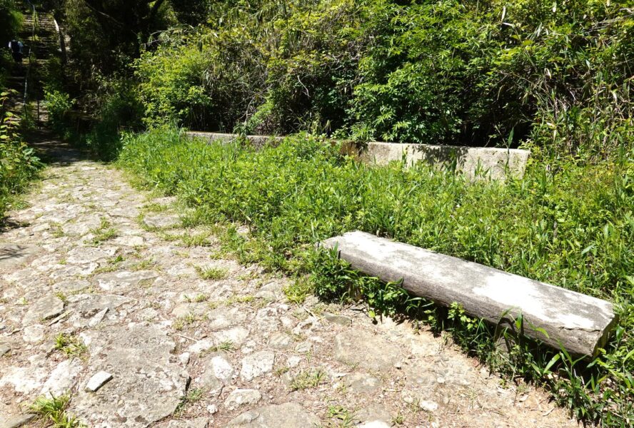 生駒山上～霞ヶ丘駅の道