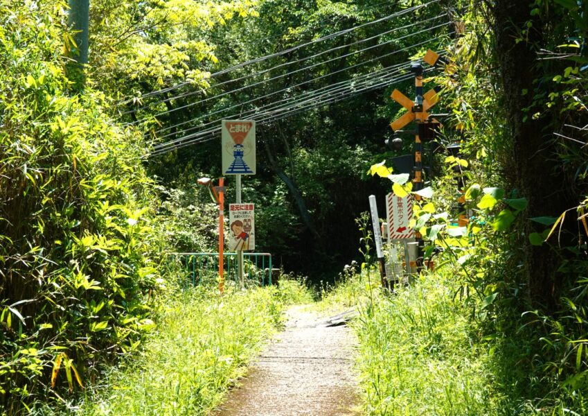 生駒山上～霞ヶ丘駅の道