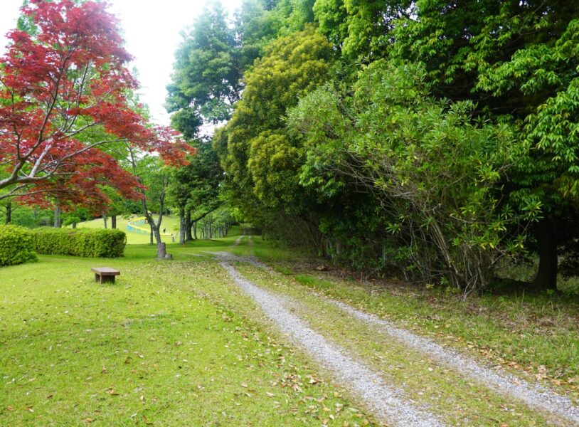 「四季のさと」の後ろ、旧近鉄大阪線線路跡