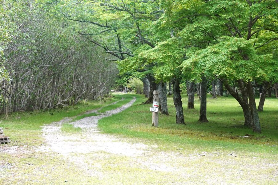 旧近鉄大阪線跡（東青山）