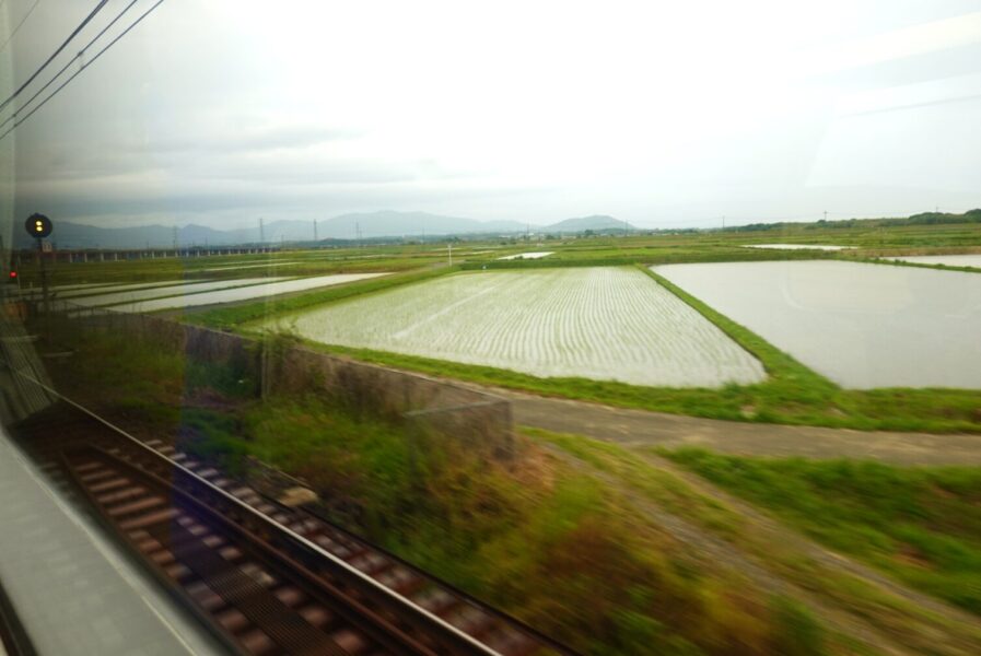 ビスタカー　車窓